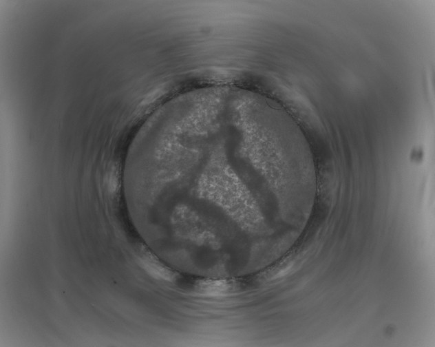 X0000097660131200803142141
