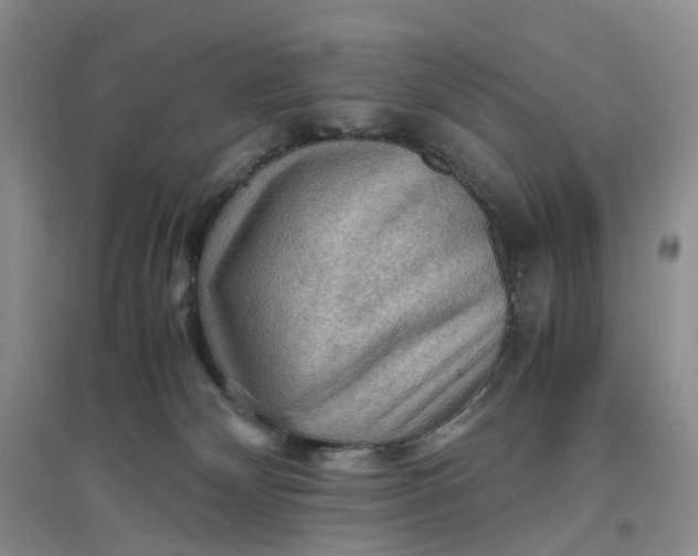 X0000097660132200803142141