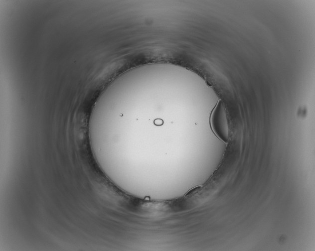 X0000097660133200803142141