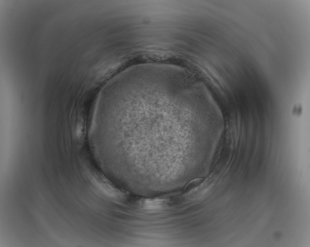 X0000097660134200803142141
