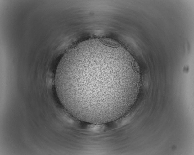 X0000097660135200803142141