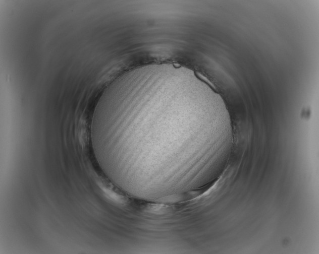 X0000097660136200803142141