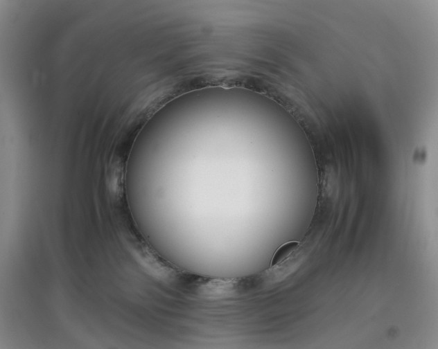 X0000097660138200803142141