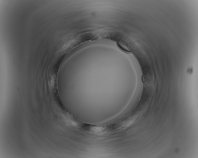 X0000097660139200803142141