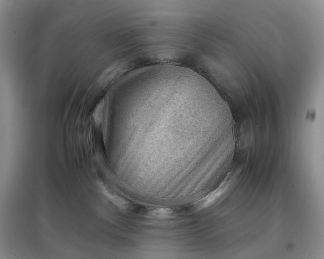 X0000097660140200803142141