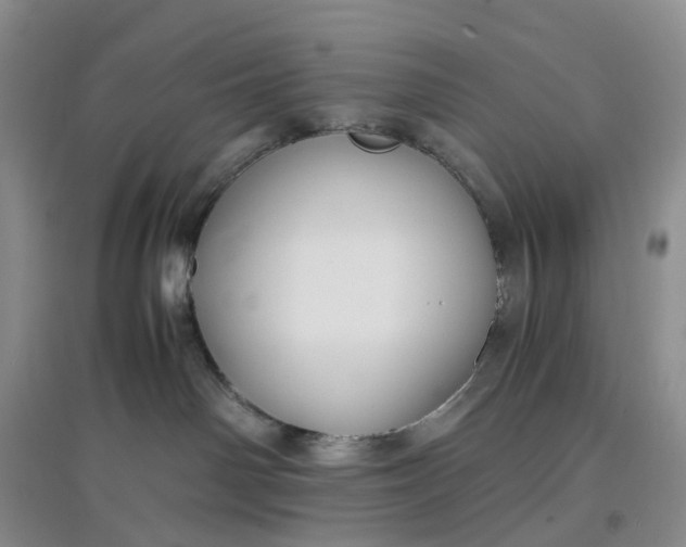 X0000097660142200803142141