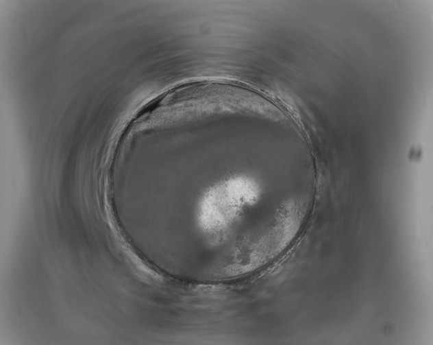 X0000097660145200803142140