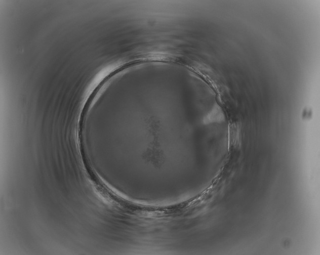 X0000097660147200803142140