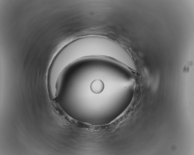 X0000097660148200803142140