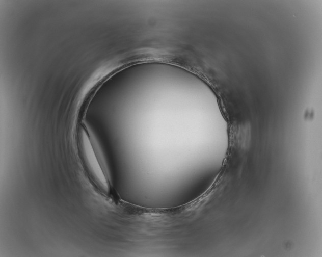 X0000097660150200803142140