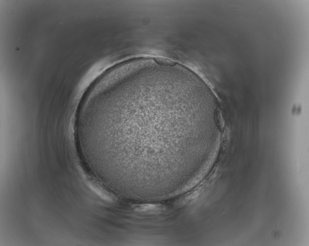X0000097660151200803142140