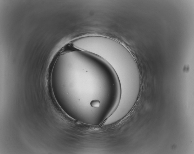 X0000097660152200803142140