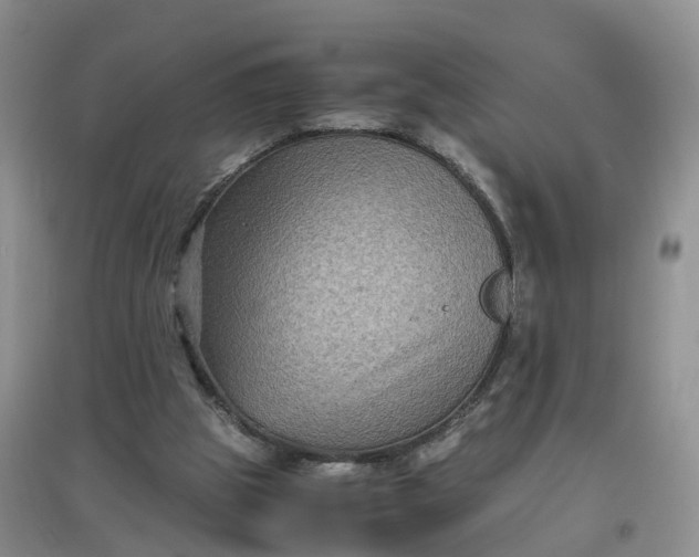 X0000097660153200803142140