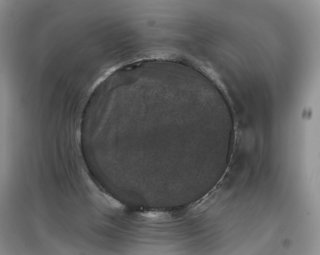 X0000097660154200803142140