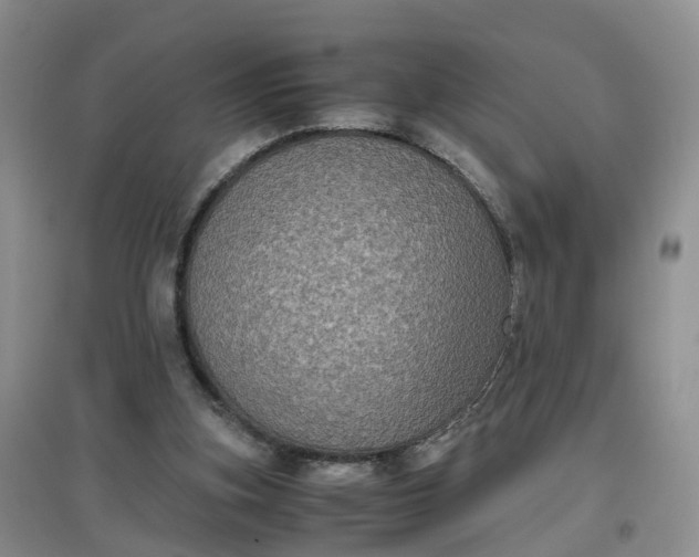 X0000097660155200803142140