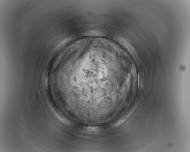 X0000097660157200803142140