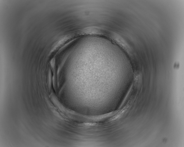 X0000097660158200803142140