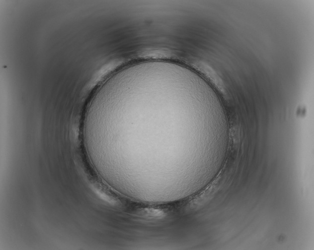 X0000097660159200803142140