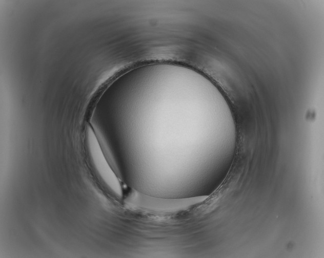 X0000097660160200803142140