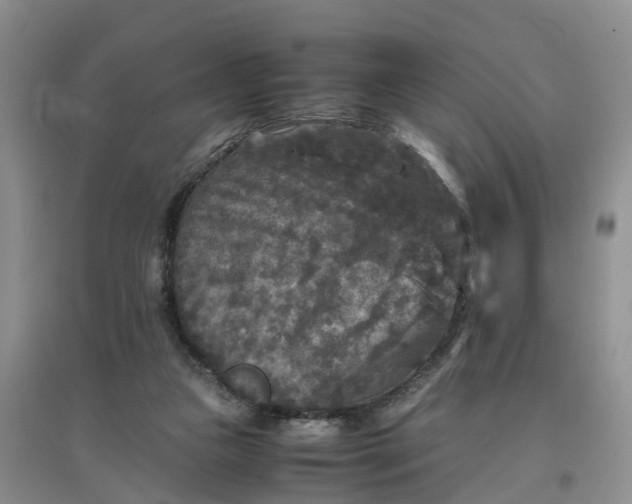 X0000097660161200803142140