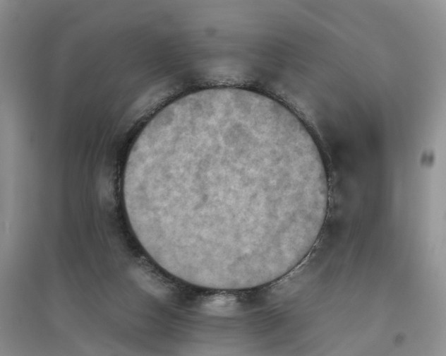 X0000097660162200803142140