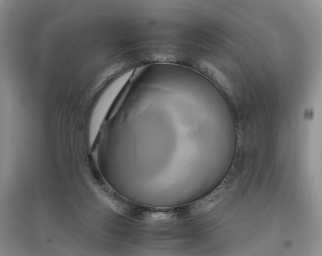 X0000097660163200803142140