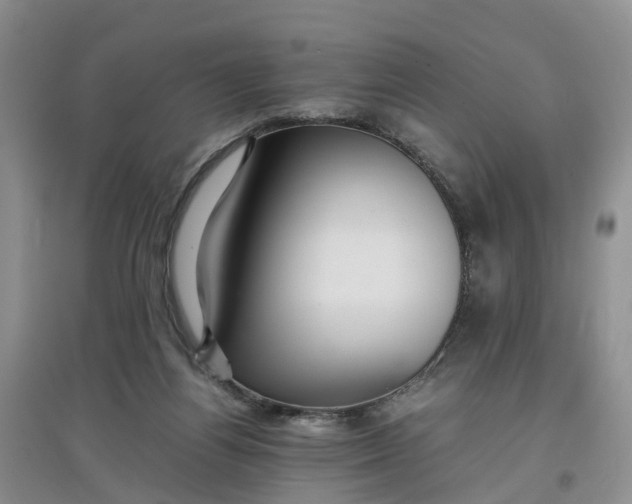 X0000097660164200803142140