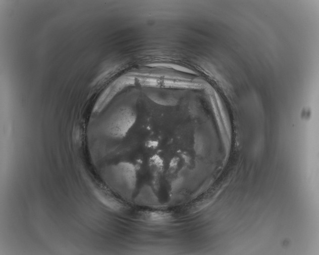 X0000097660165200803142140