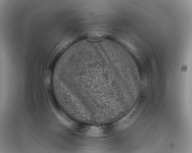 X0000097660166200803142140