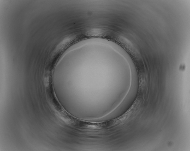 X0000097660167200803142140