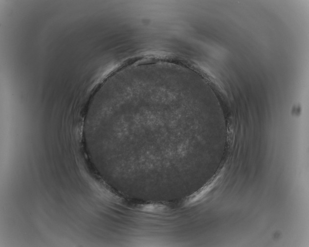 X0000097660168200803142140
