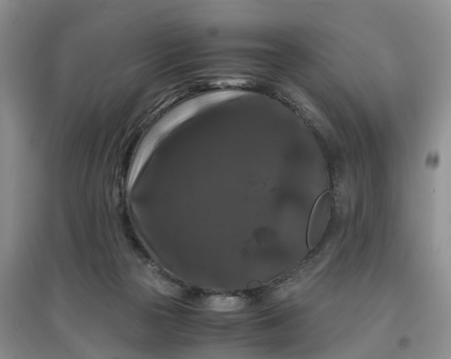 X0000097660169200803142140