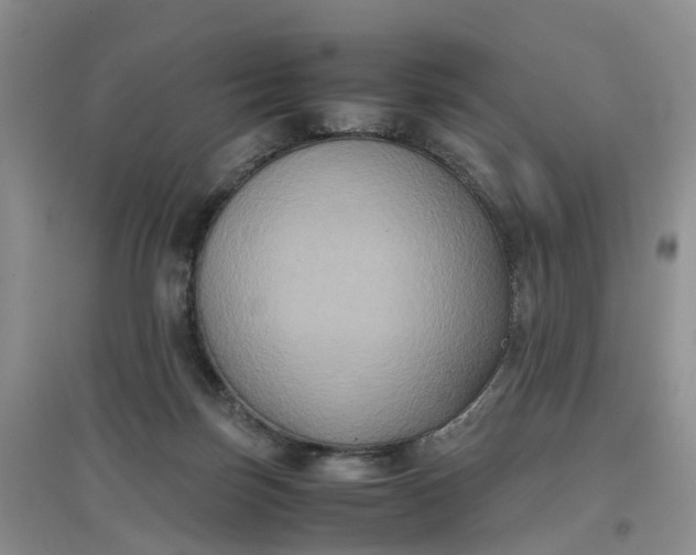 X0000097660171200803142140