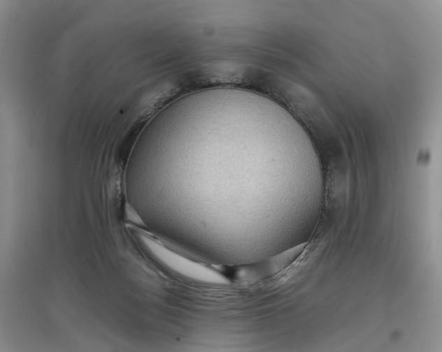 X0000097660172200803142140