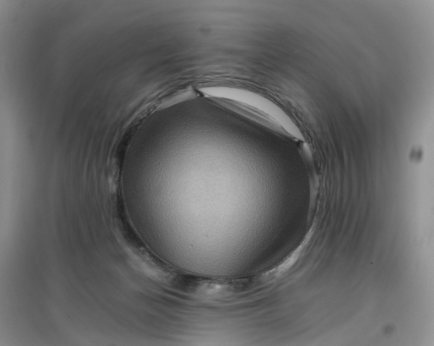 X0000097660174200803142140