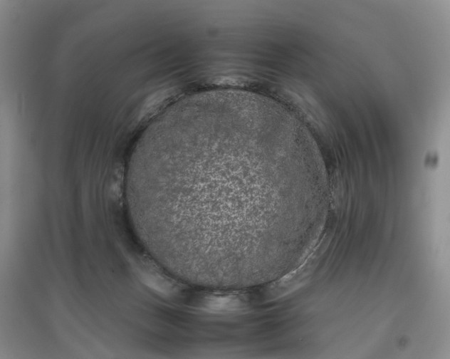 X0000097660175200803142140
