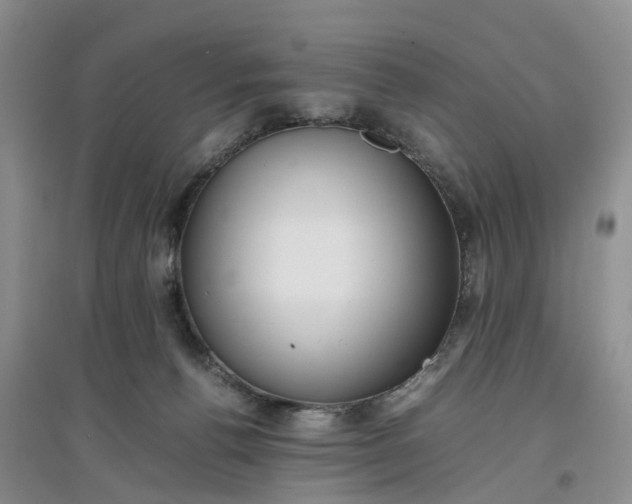 X0000097660176200803142140