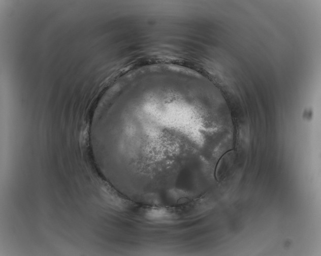 X0000097660177200803142140
