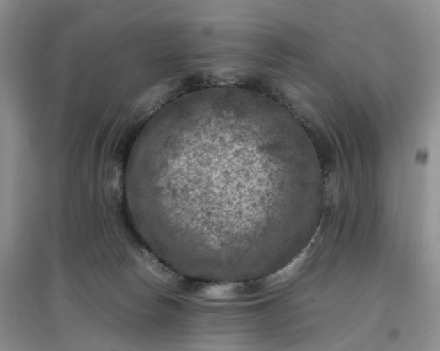 X0000097660178200803142140