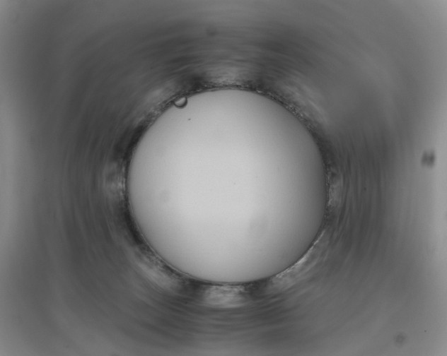 X0000097660179200803142140