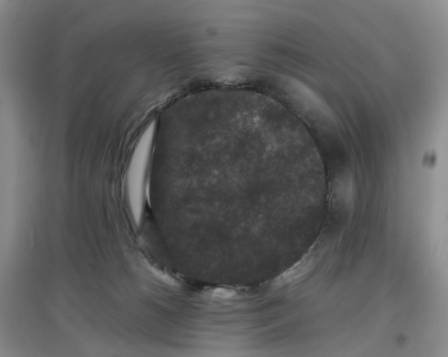 X0000097660180200803142140