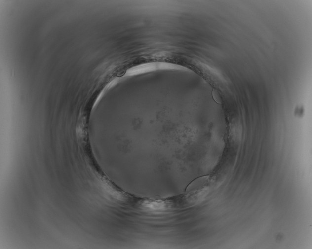 X0000097660181200803142140