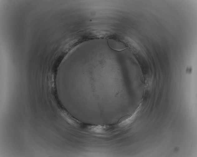 X0000097660182200803142140