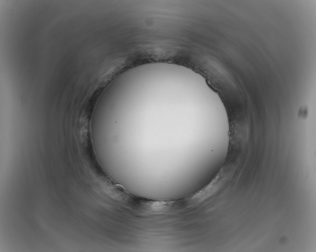 X0000097660184200803142140