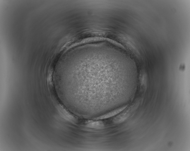 X0000097660185200803142140