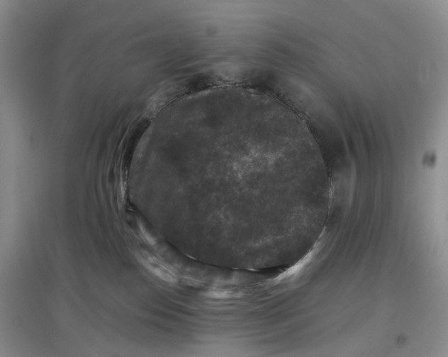 X0000097660186200803142140