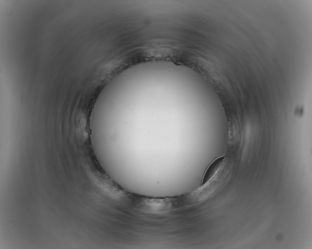 X0000097660187200803142140