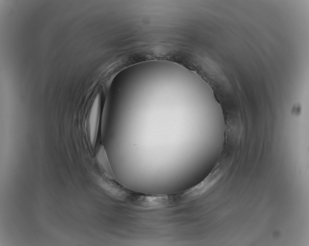 X0000097660188200803142140