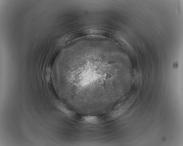 X0000097660189200803142141