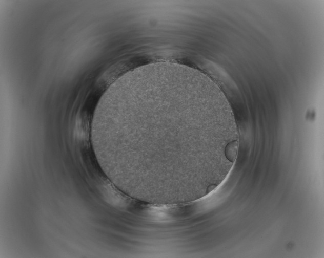 X0000097660190200803142141